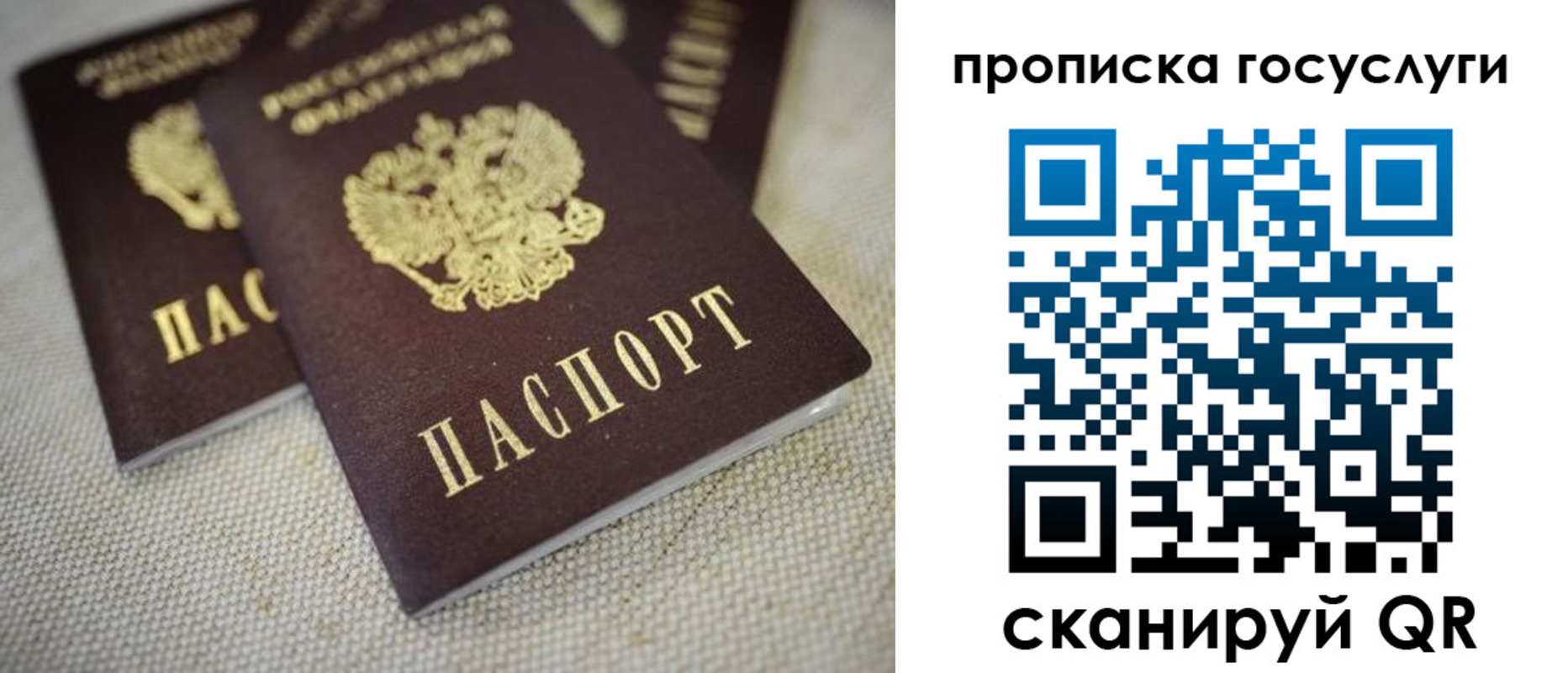 временная регистрация для всех в Щиграх